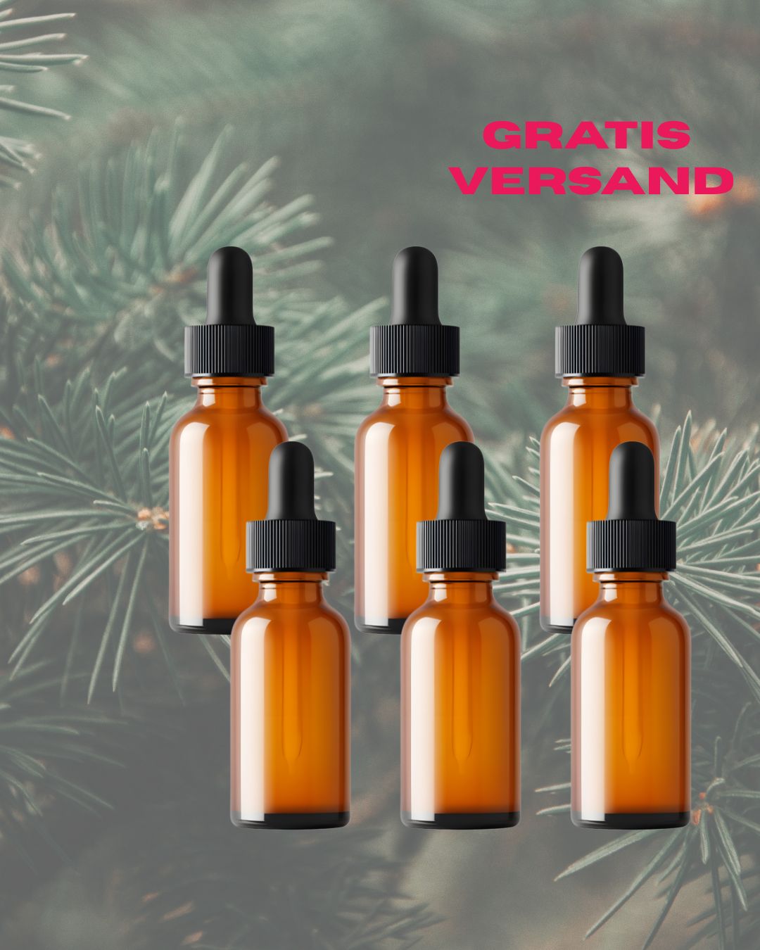 BIO ZIRBELKIEFERÖL I 6 x 100ml