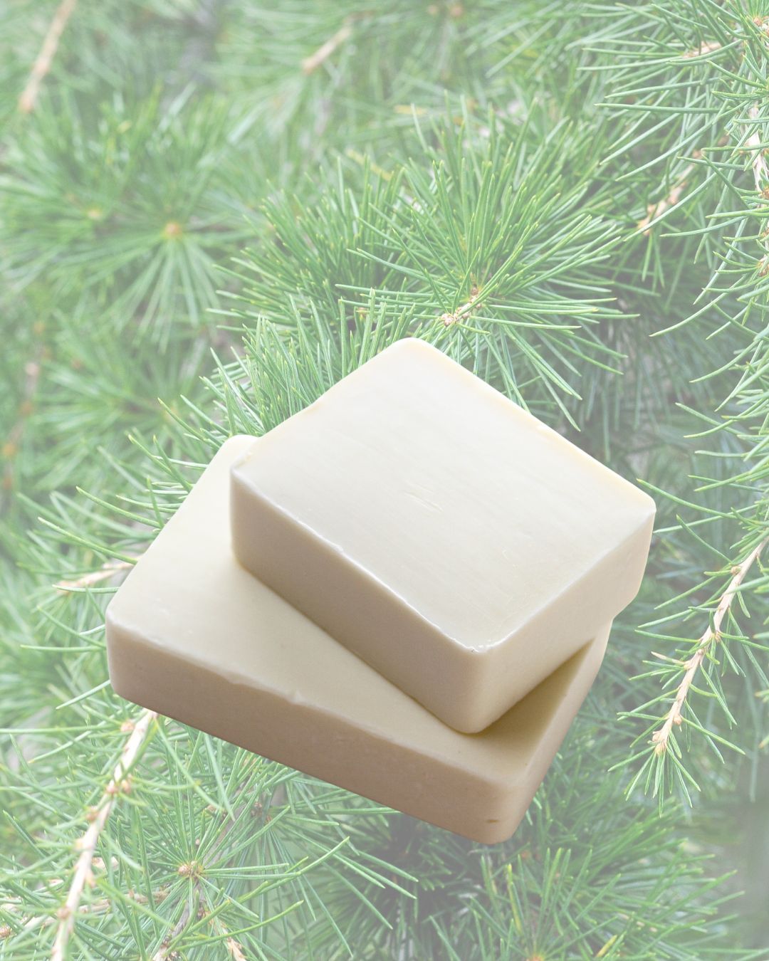 ALOE VERA & ZEDERN I XL SEIFENBLOCK 500g I zum selber schneiden