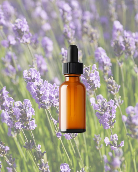 BIO LAVENDELÖL I 100ml