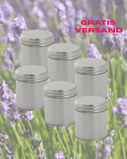 LAVENDEL DUFTKERZE Set I 6x25 Stunde Brenndauer